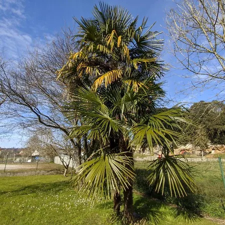Bricia Appartement Posada De Llanes